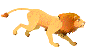 Gif animé lion court